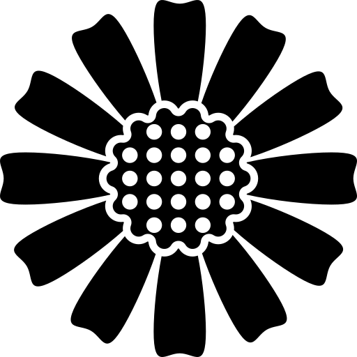 Papatya Buketleri