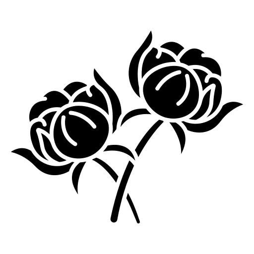 Şakayık Buketleri