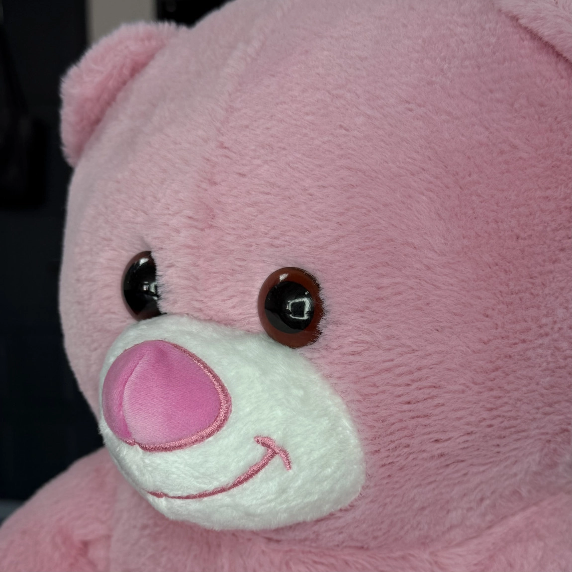 60 Cm Pembe Peluş Ayı